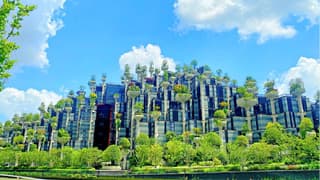 Tian An 1000 Trees