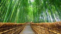 อาราชิยาม่า (Arashiyama)
