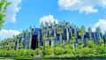 Tian An 1,000 Trees