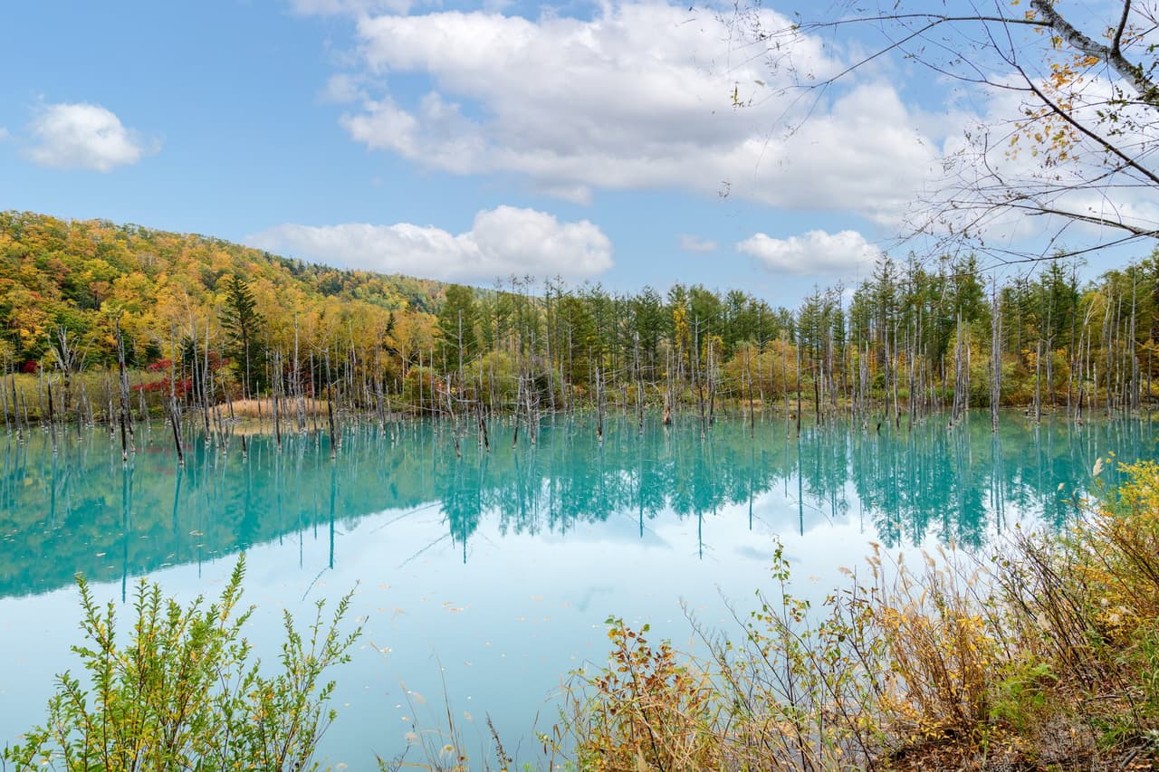 บ่อน้ำสีฟ้า Shirogane Blue Pond