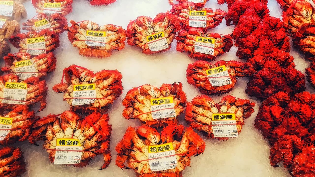 ตลาดเช้าฮาโกดาเตะ (Hakodate Morning Market)