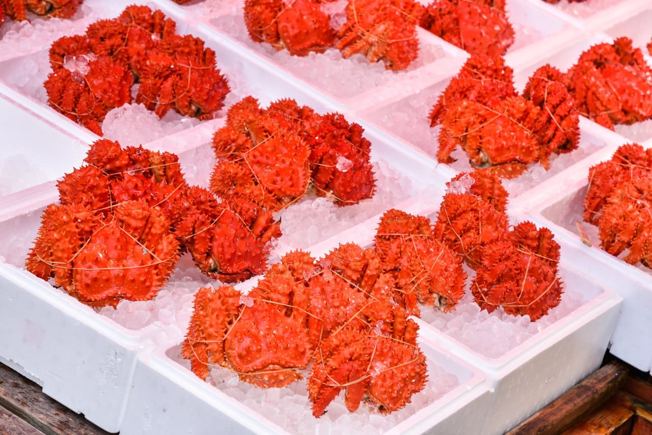 ตลาดปลานิโจ (Nijo Fish Market)