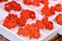 ตลาดปลานิโจ (Nijo Fish Market)