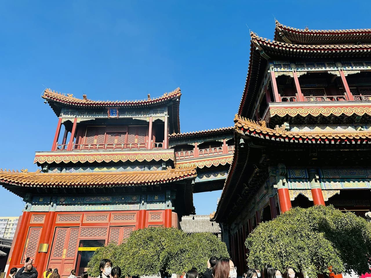 วัดลามะ (Yonghe Temple)