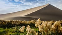 ทะเลทรายหมิงซาซาน